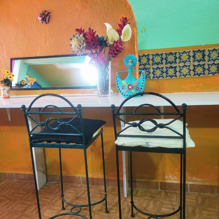 Oceanview Old Town 6 blocks to the beach and Malecon - Apartamento de 3 dormitorios - 23