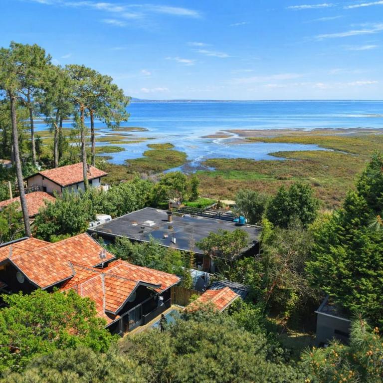 Villa Lège-Cap-Ferret - piscine - vue bassin - Villa - 1