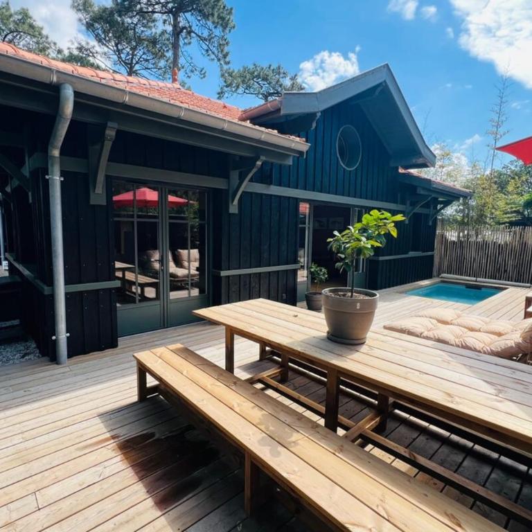 Villa Lège-Cap-Ferret - piscine - vue bassin - Villa - 13