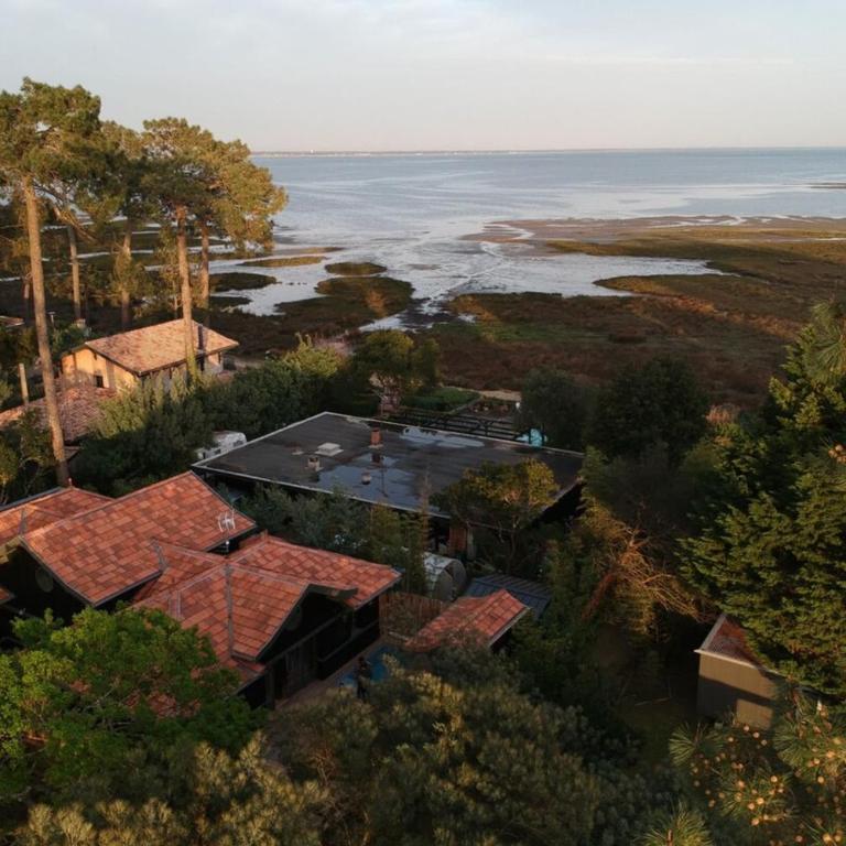 Villa Lège-Cap-Ferret - piscine - vue bassin - Villa - 35
