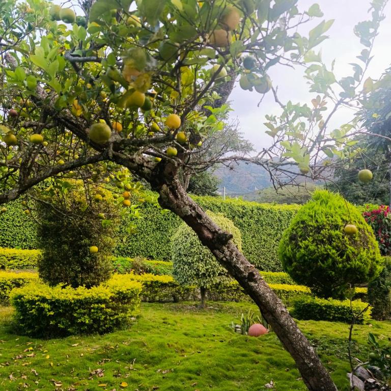 Arco Iris Vilcabamba Farm - Two-Bedroom Apartment - 5
