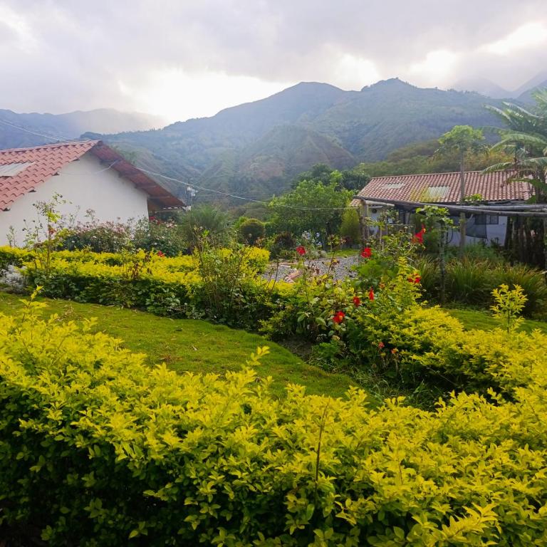 Arco Iris Vilcabamba Farm - Two-Bedroom Apartment - 2