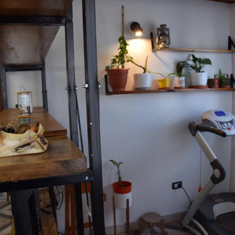 Dharma Alojamiento - Apartamento de 1 dormitorio - 30