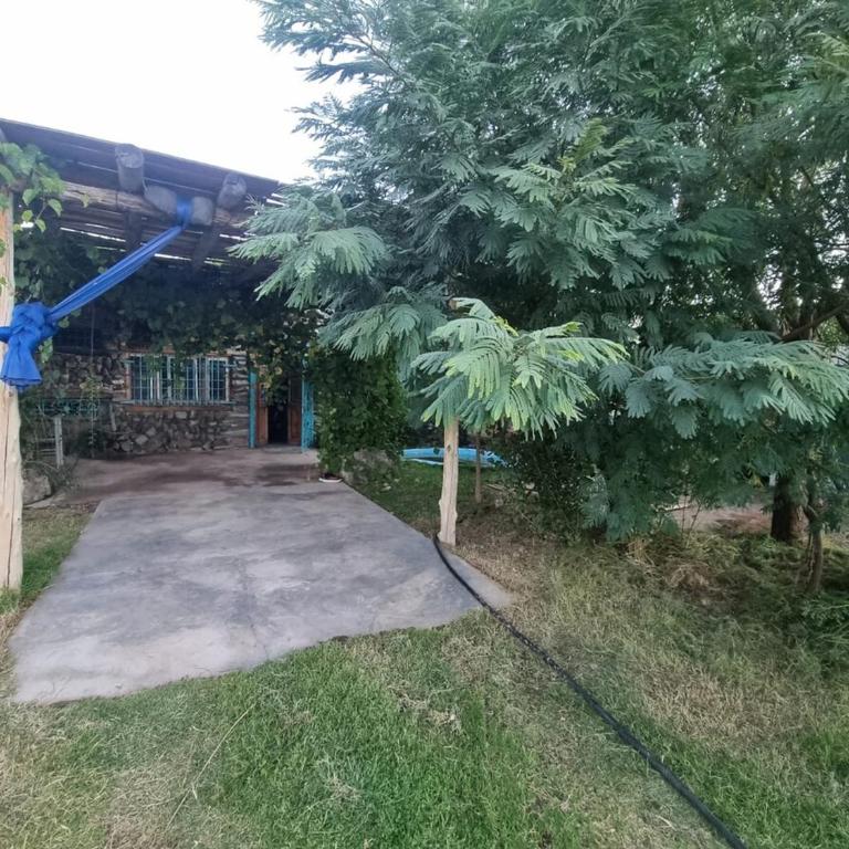Mountain House with Wonderful View - Casa con 1 dormitorio - 18
