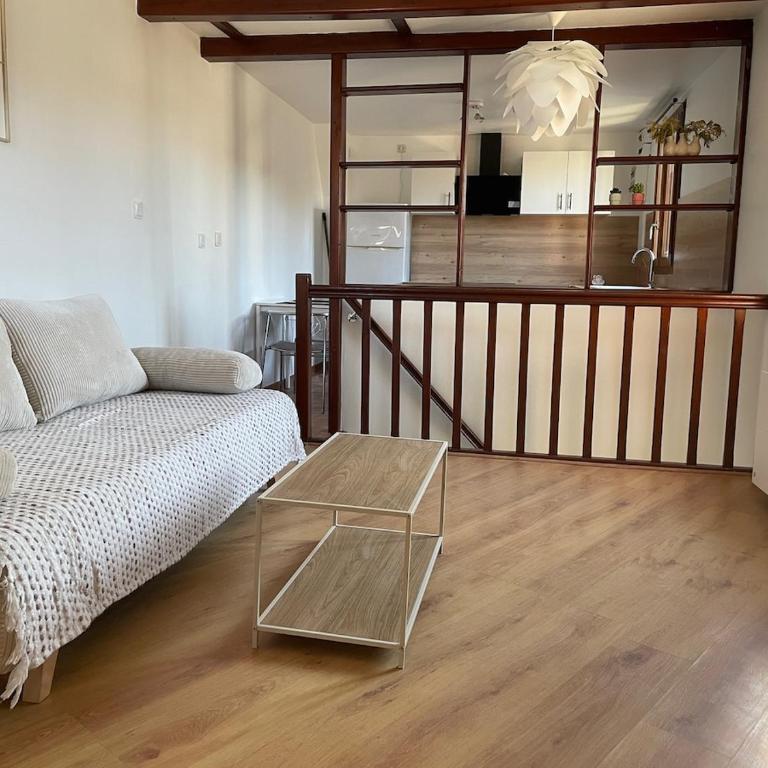 Alio Signature entre Châteaux, Loire et Zoo - Appartement 1 Chambre - 1