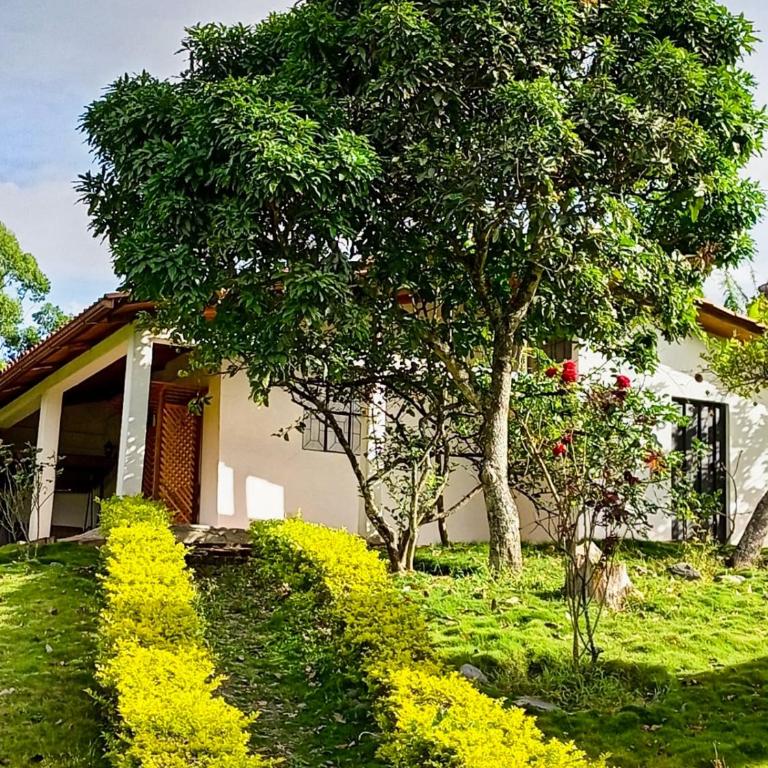 Arco Iris Vilcabamba Farm - Two-Bedroom Family Apartment - 7