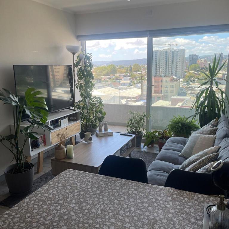 Acogedor y soleado departamento - Apartamento de 1 dormitorio - 7