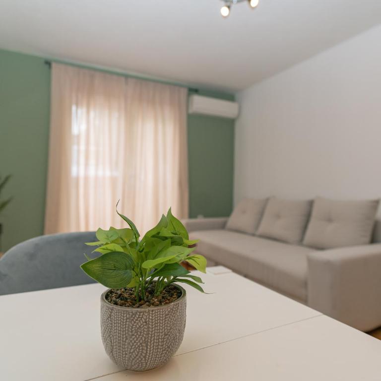 TORO Smart - Appartement 1 Chambre - 7