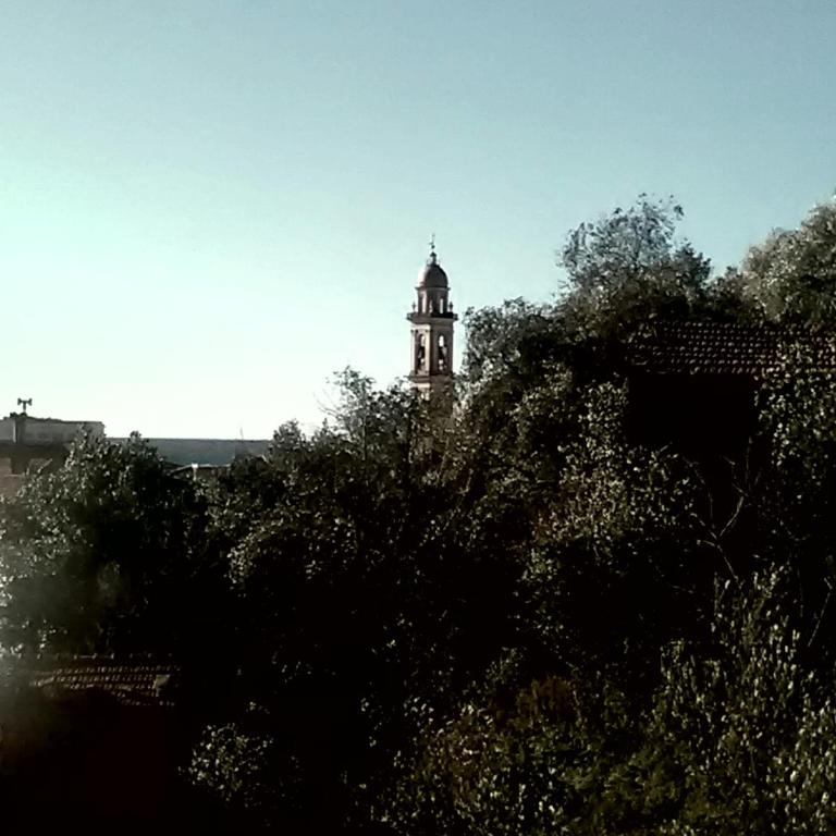 Casa dell'ulivo - Appartamento con 2 Camere da Letto - 12