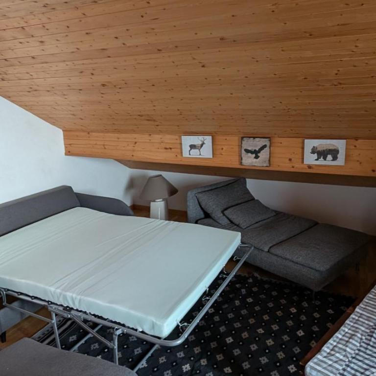 Thollon Appt 8 pers à 50m a pied du télécabine - Appartement 3 Chambres - 12