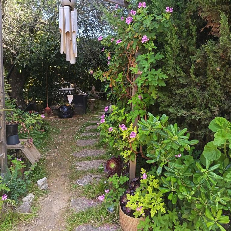 Havre de verdure Antibes Val Claret - Appartement 1 Chambre avec Jardin - 1