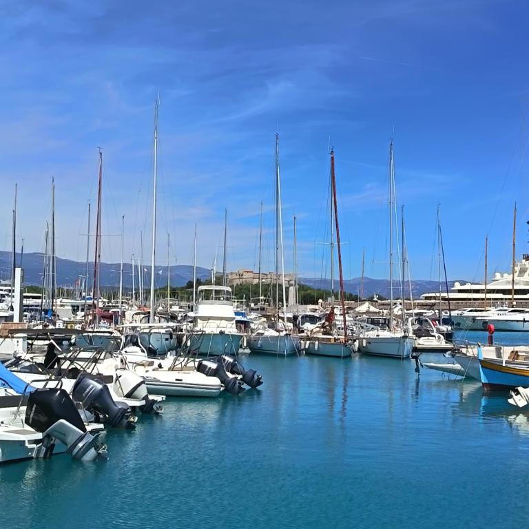 Havre de verdure Antibes Val Claret - Appartement 1 Chambre avec Jardin - 21