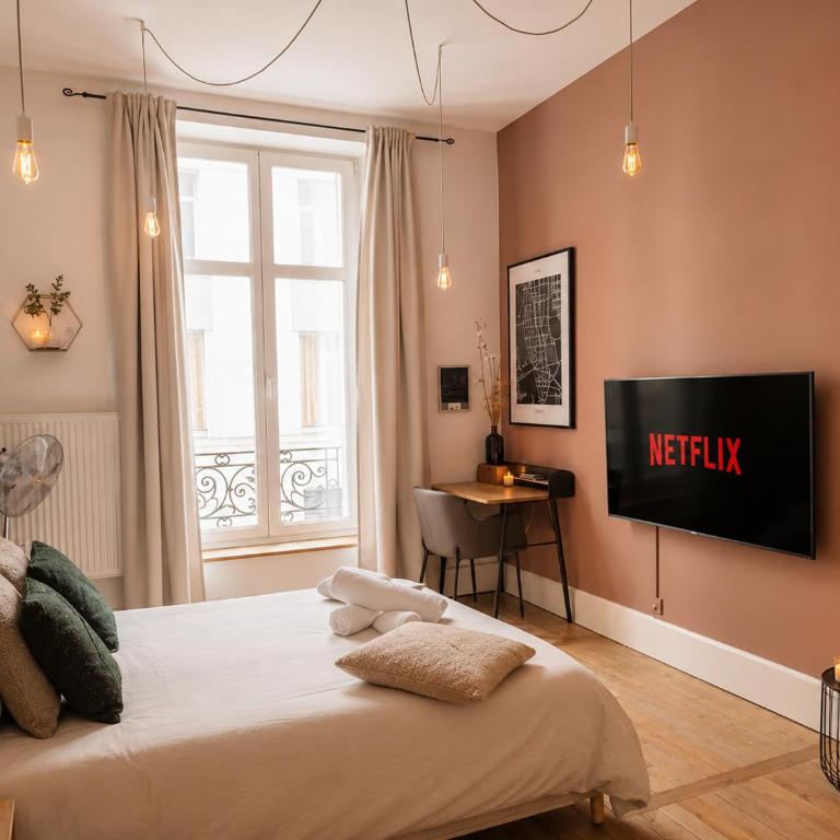 Nancy Gare Centre Parking - Appartement 1 Chambre - 4