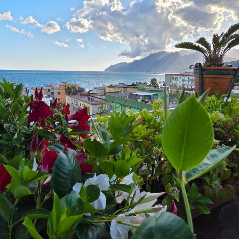 Amalfi Coast View - Casa Vacanze - 3