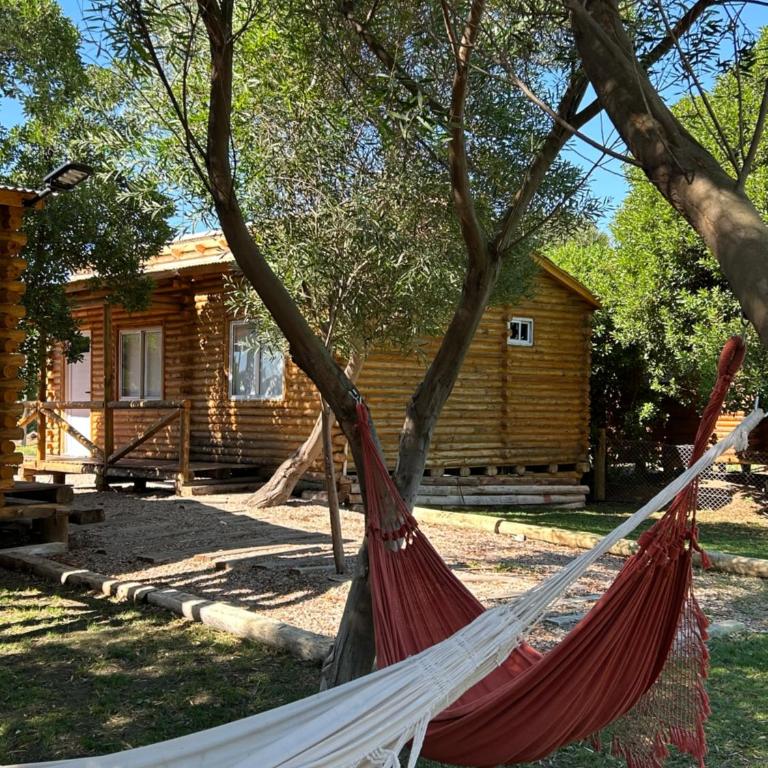 Viento en popa - Casa Móvil - 4
