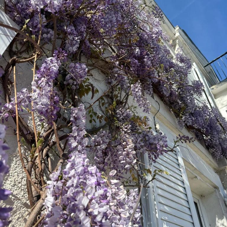 Bienvenue au 24 - Villa - 45