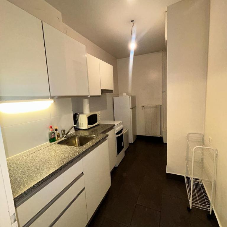 Cozy 1 Bedroom in Central Geneva - Appartement 2 Chambres - 3