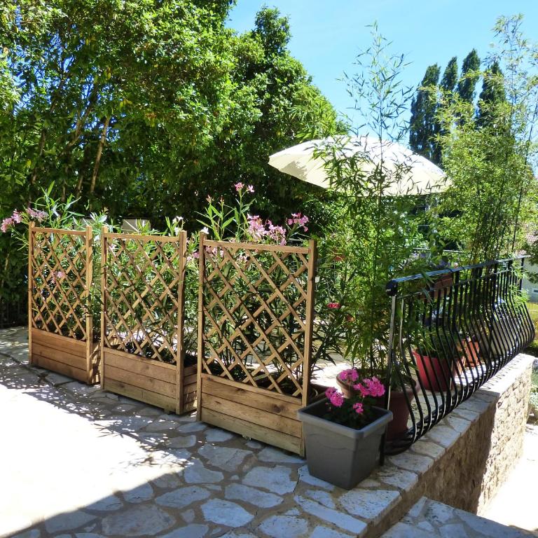 Maison Pierre D'Or - Studio - 15