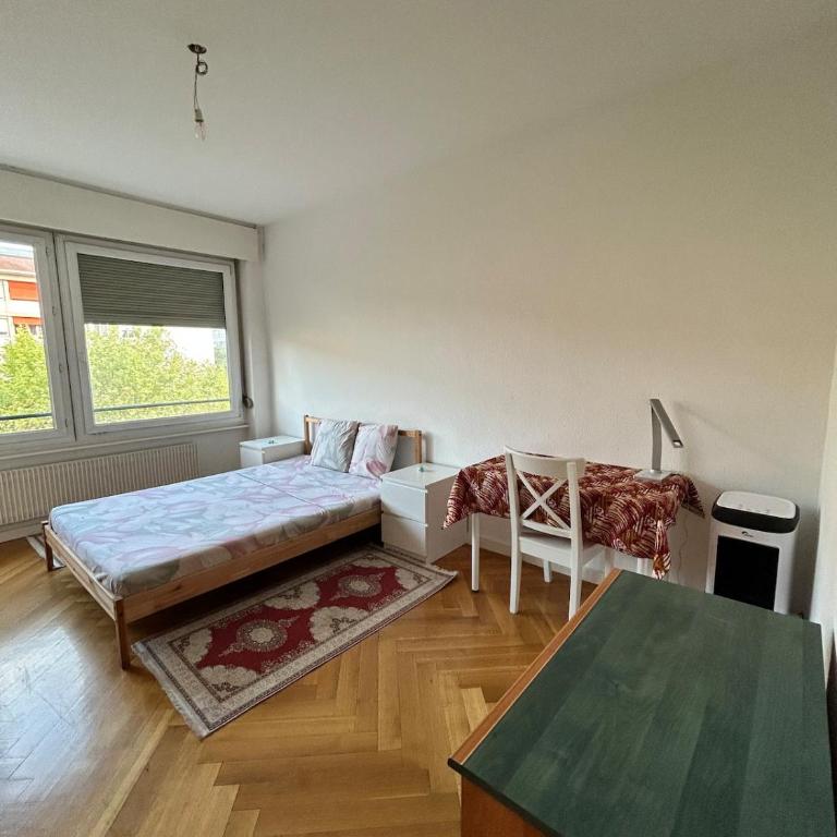 Cozy 1 Bedroom in Central Geneva - Appartement 2 Chambres - 6