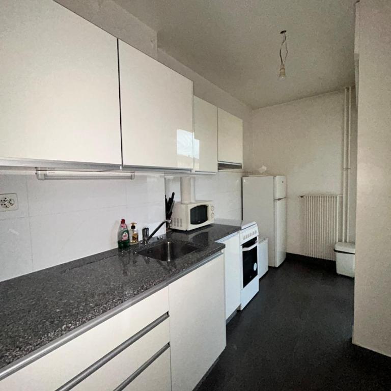 Cozy 1 Bedroom in Central Geneva - Appartement 2 Chambres - 7