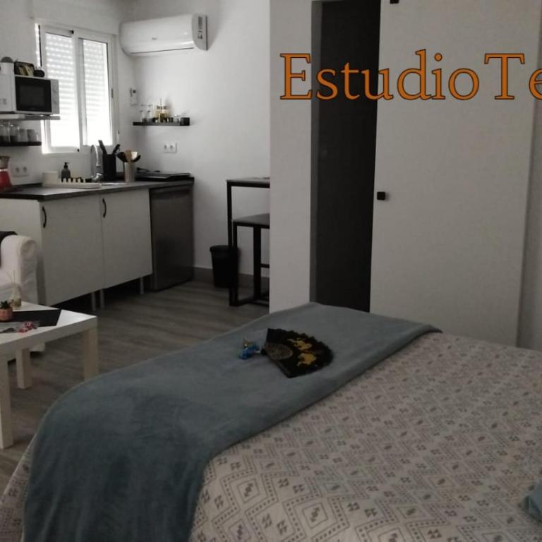 Estudios I Love Jerez - Apartamento con terraza - 6