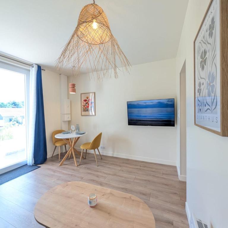 Aux portes de la plage, entièrement rénovés, wifi, Parking gratuit, linge de maison fournit, ménage en fin de séjour compris - Appartement 1 Chambre - 12