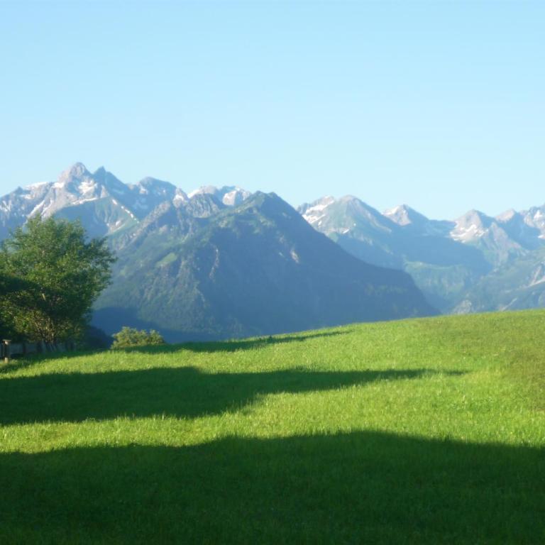 Ferienwohnungen Fricker - Apartment mit Blick auf die Berge - 16