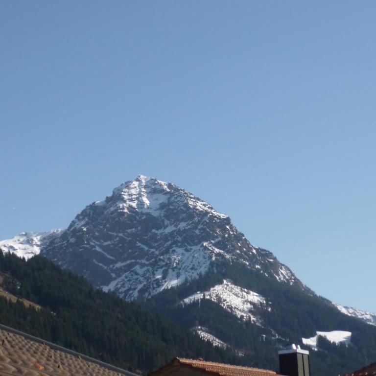 Ferienwohnungen Fricker - Apartment mit Blick auf die Berge - 13