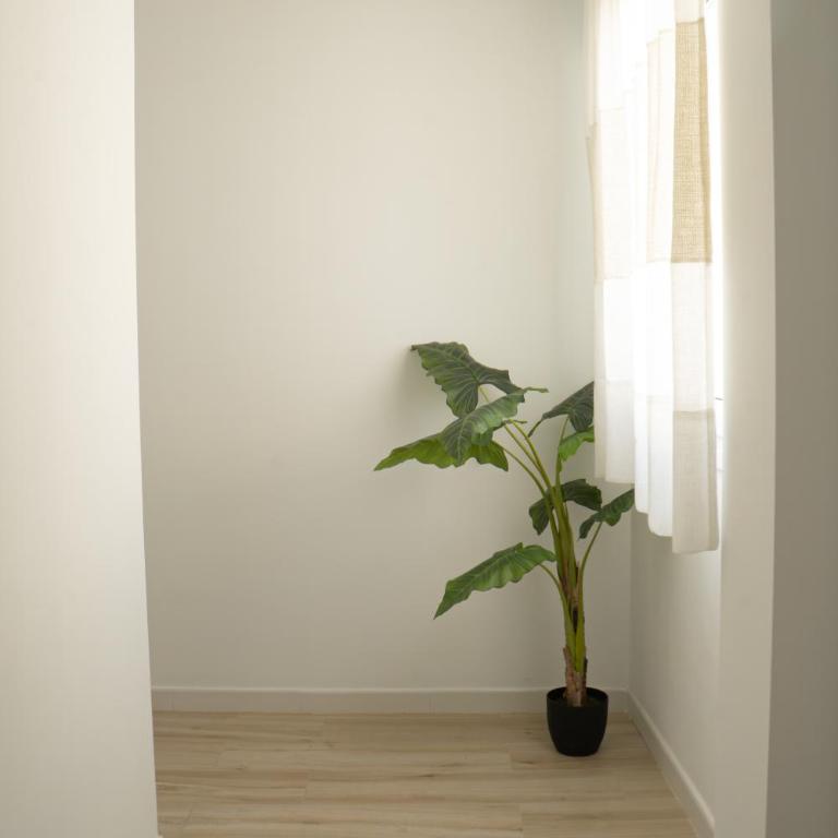 Andalusian Stay III - Apartamento de 1 dormitorio - 81