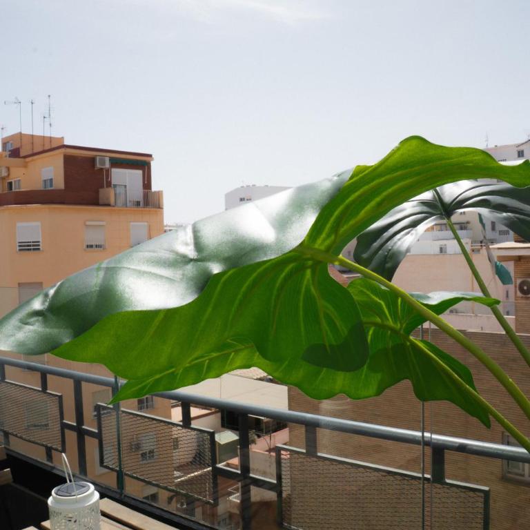Andalusian Stay III - Apartamento de 1 dormitorio - 89