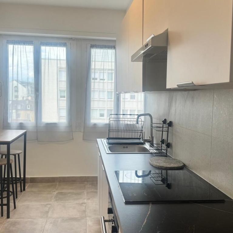 Pau Elégance - 4 Personnes - Pau Hyper Centre - Clemenceau - Appartement 1 Chambre - 6