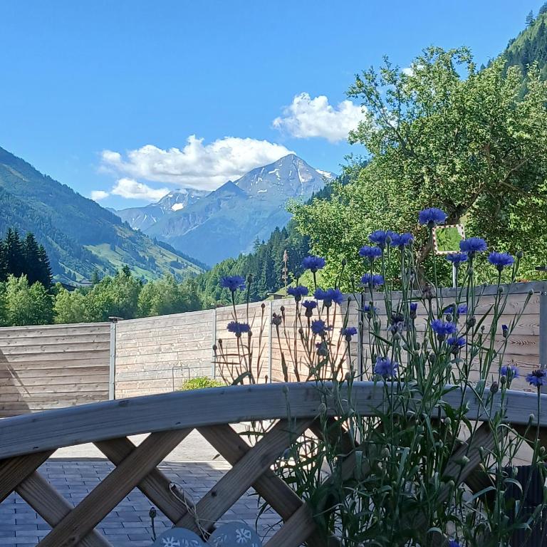 Boutique Appartements Kumming inkl Nationalparkcard - Apartment mit 2 Schlafzimmern - 21