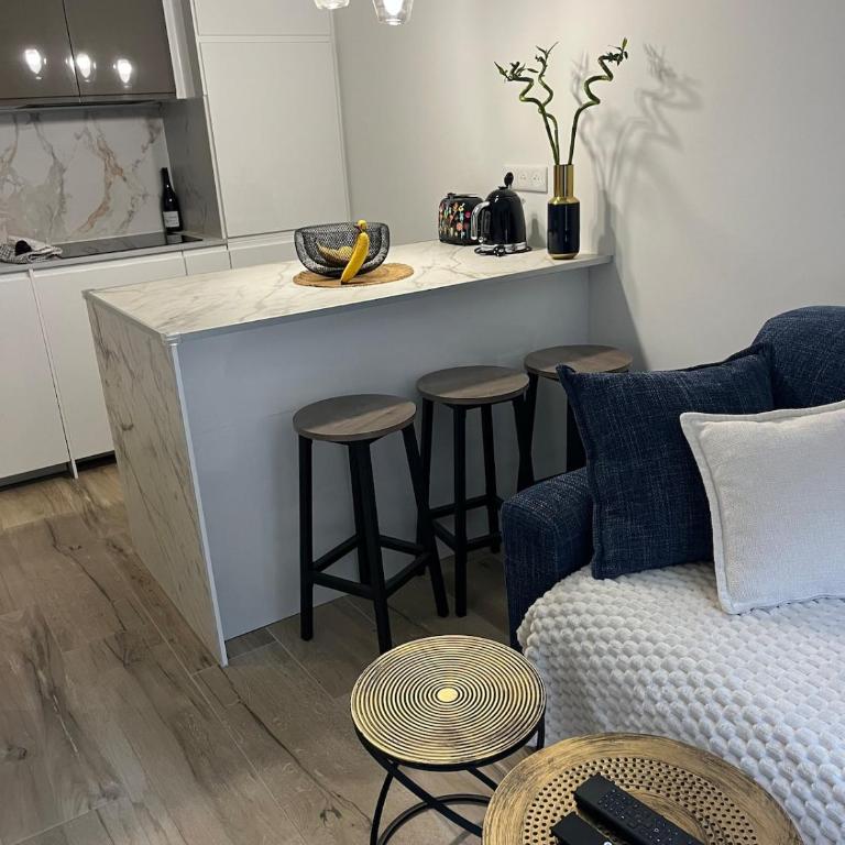 Beau 2Pieces centre ville Terrasse jardin - Appartement 1 Chambre - Vue sur Jardin - 4