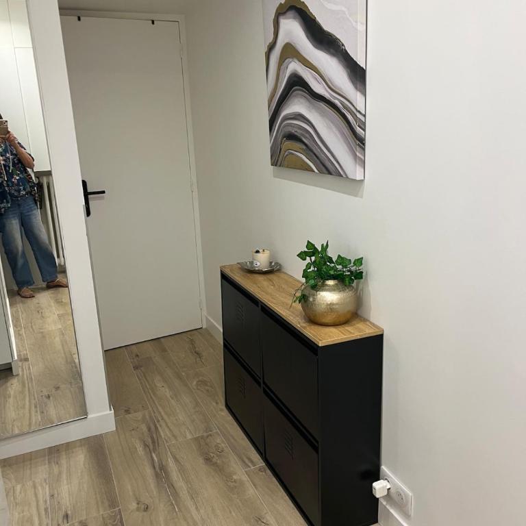 Beau 2Pieces centre ville Terrasse jardin - Appartement 1 Chambre - Vue sur Jardin - 14