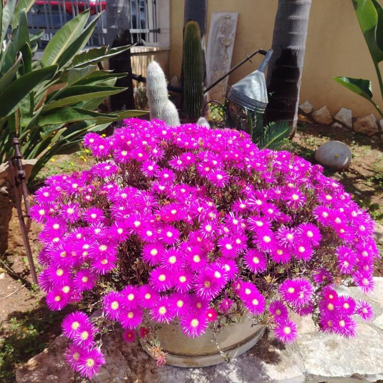 Marluna - Monolocale Familiare - 3
