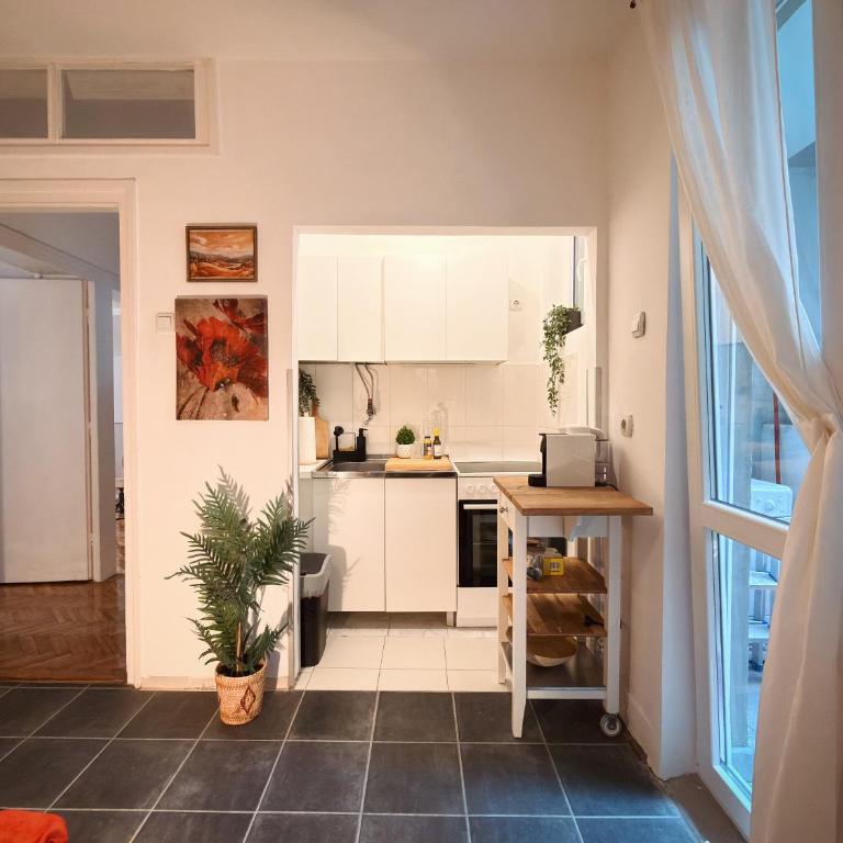 Aesthetic Vintage Central Apartment - Apartman sa Balkonom - 18