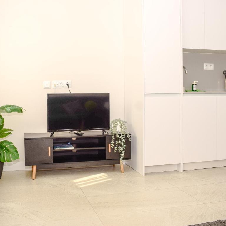 NIDOM-Loft Isturiz - One-Bedroom Apartment - 31