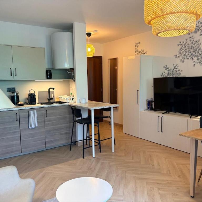 Studio 30m2 avec wifi et parking - Apartment mit 1 Schlafzimmer - 3