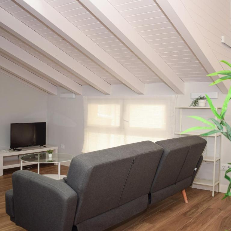 NIDOM-Loft Isturiz - Two-Bedroom Deluxe Apartment - 21