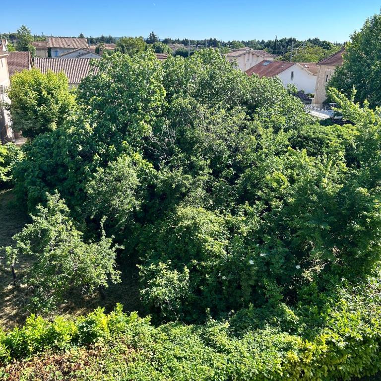 Entre Sorgue et Luberon, au coeur de l'Isle - Appartamento con 3 Camere da Letto - 54