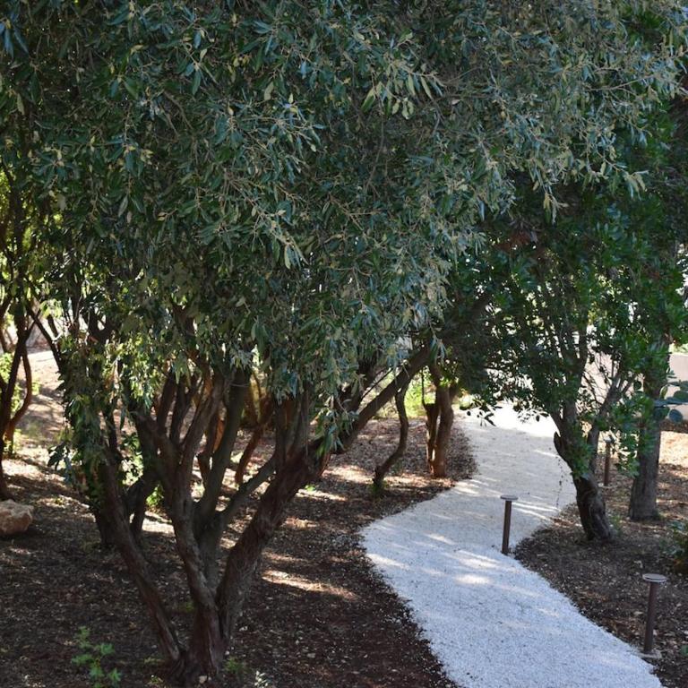 Trullo di Olimpia - Villa Deluxe - 15