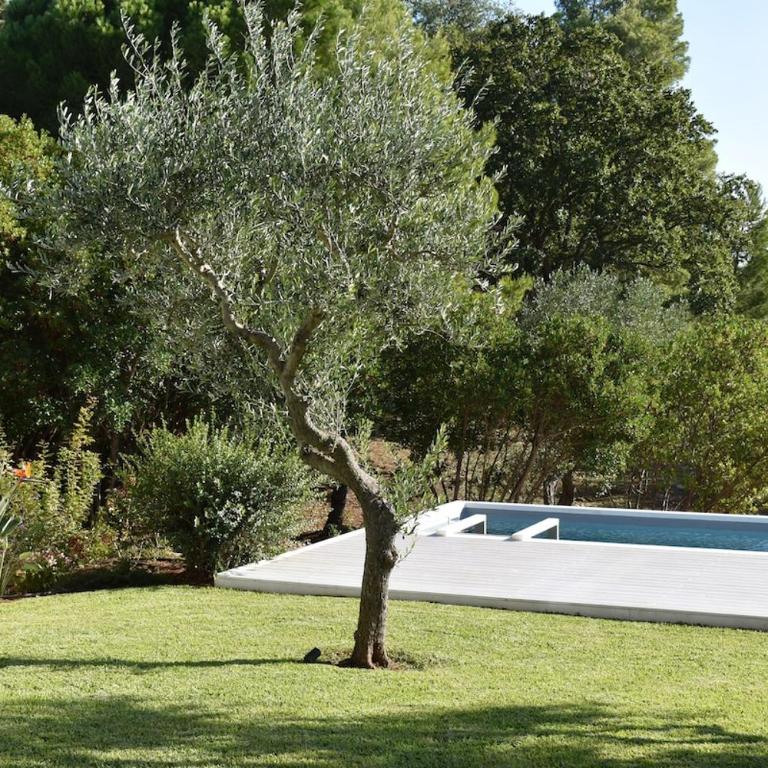 Trullo di Olimpia - Villa Deluxe - 59