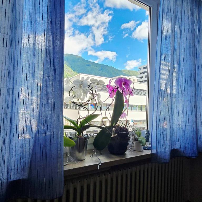 Casa Tarefa da Barbara - Appartamento con 1 Camera da Letto - 13