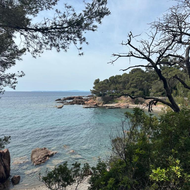 Dolce Farniente à 300m de la mer - Apartamento de 1 dormitorio - 1