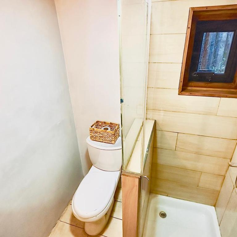 Tiny House del bosque - Casa de 2 dormitorios - 1