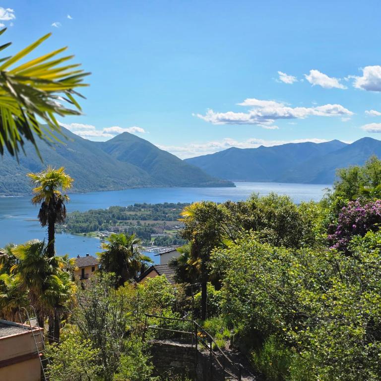 Casa Collina - Appartamento con 1 Camera da Letto e Vista Lago - 9