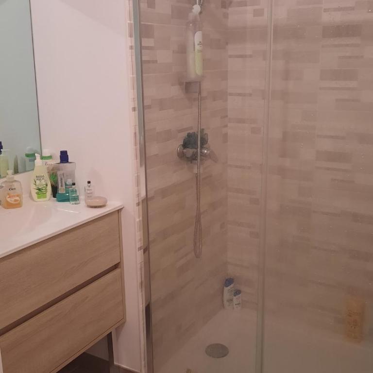 Appartement cosy et lumineux avec belle terrasse, à deux pas du tram Sabines - Appartement 1 Chambre - 17