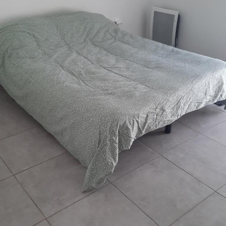 Appartement cosy et lumineux avec belle terrasse, à deux pas du tram Sabines - Appartement 1 Chambre - 24