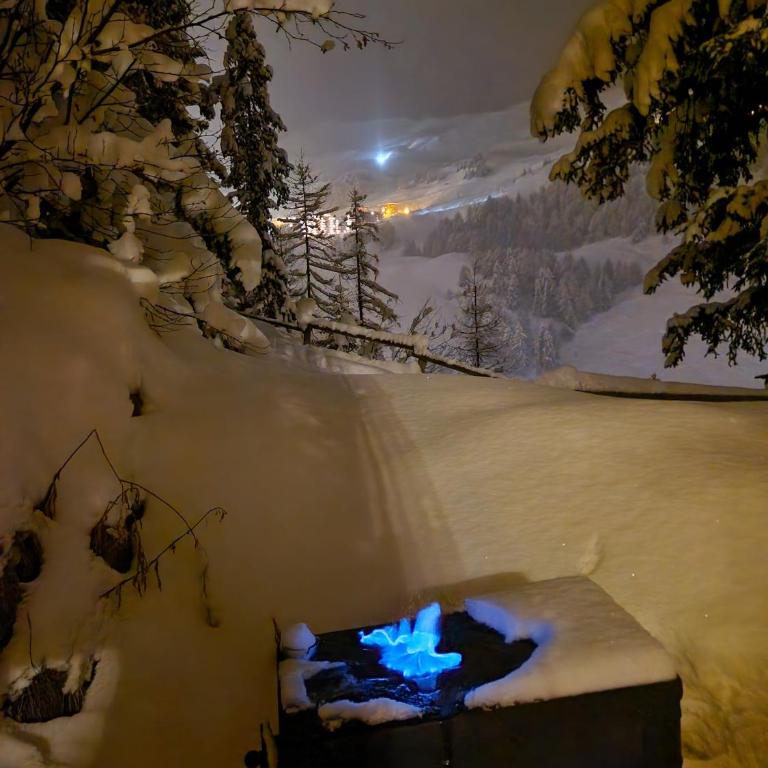Chalet Antonin La Plagne 1800 - Maison de Vacances - 21