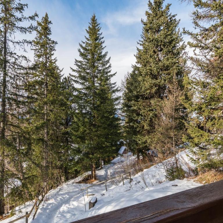 Chalet Antonin La Plagne 1800 - Maison de Vacances - 26